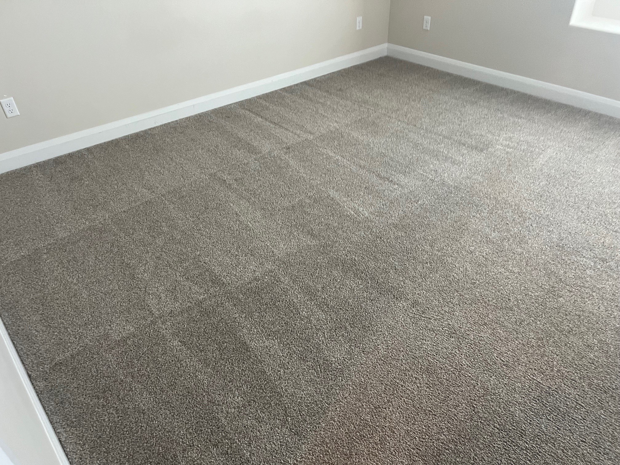 Crisp wand-stripe pattern in freshly extracted carpet — the visible evidence of a slow, deliberate pass.