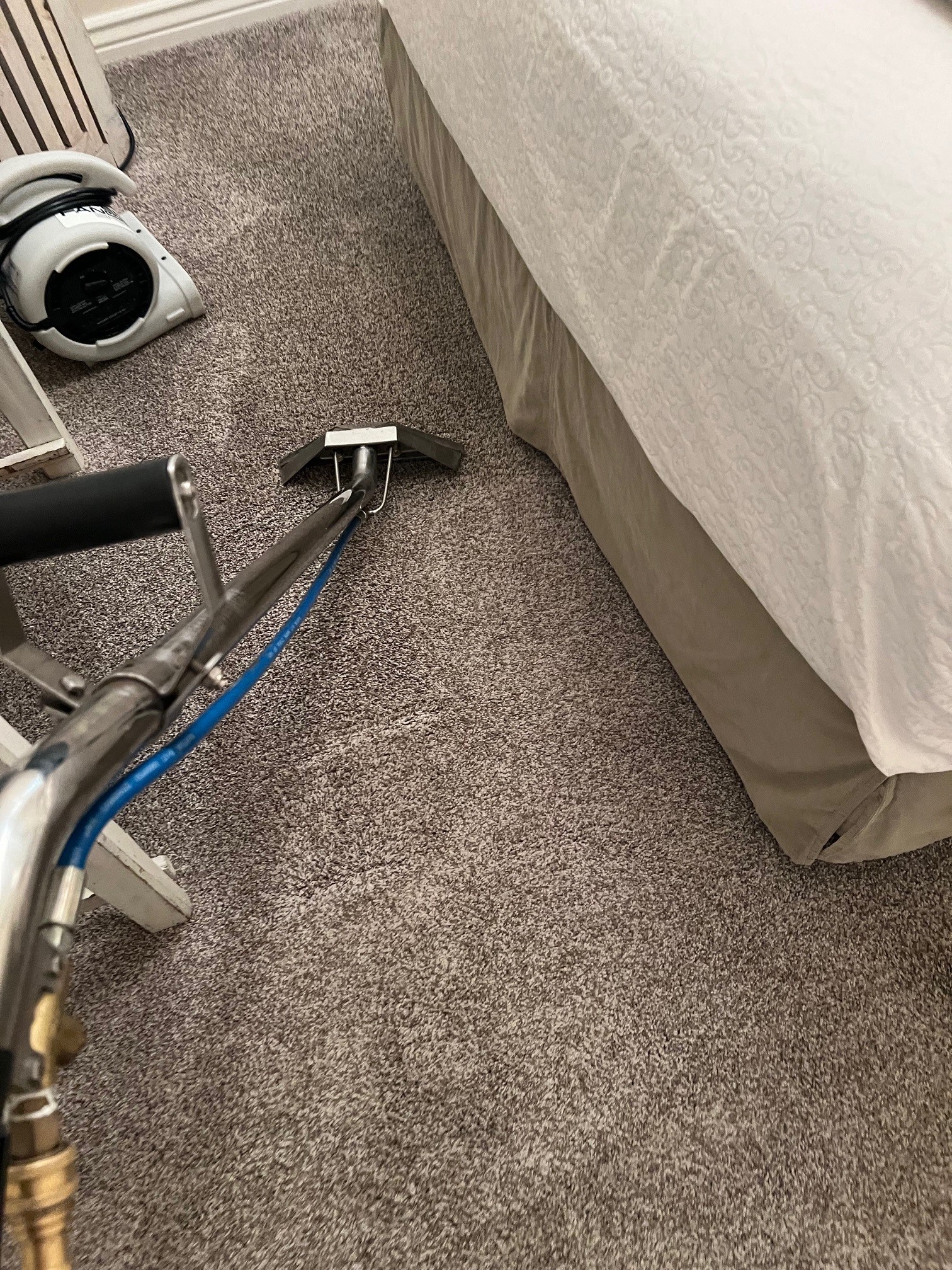 Devon Phillipson cleaning carpet mid-job.